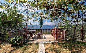 Old House Kontic
